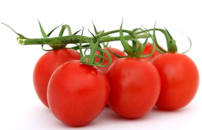 Diverse Cuisine